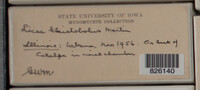 Image Associated With the Occurence
